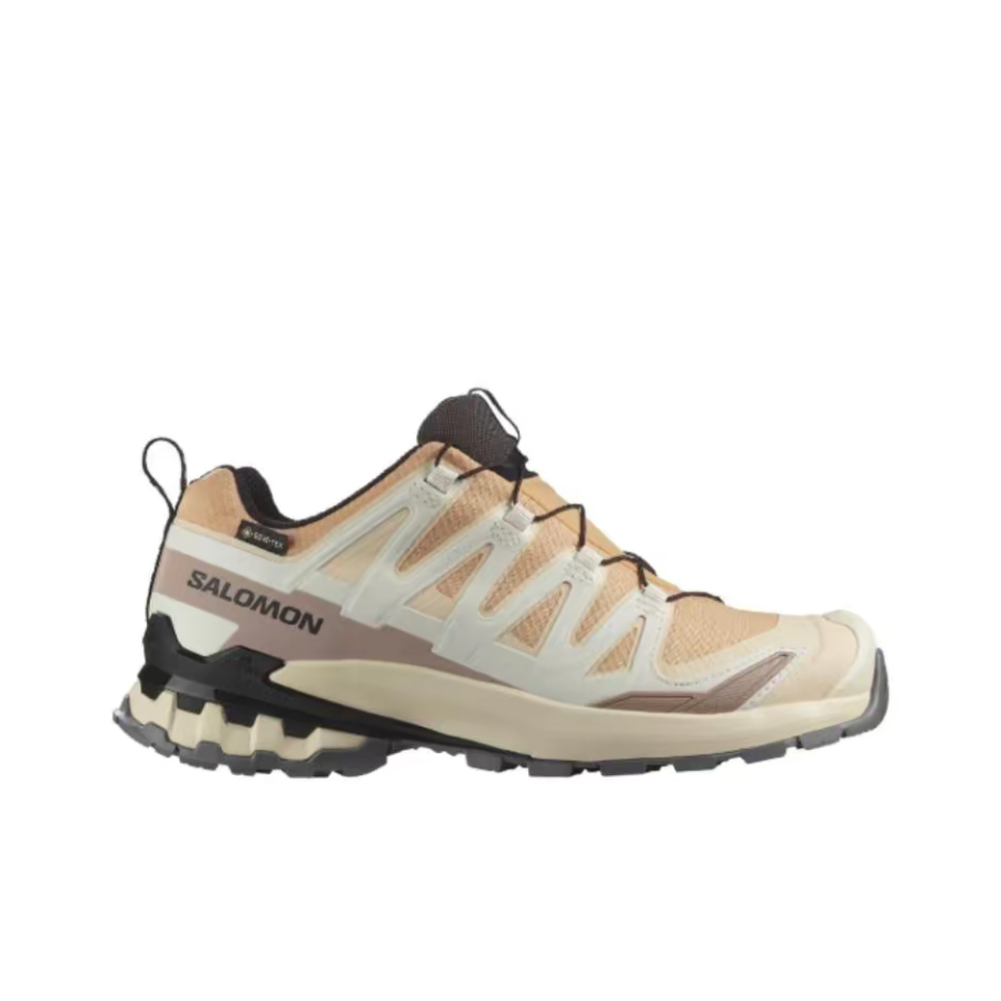 Salomon XA Pro 3D V9 GTX: Ein  – Salomon Shoes Xa Pro 3D Bewertung und Preis
