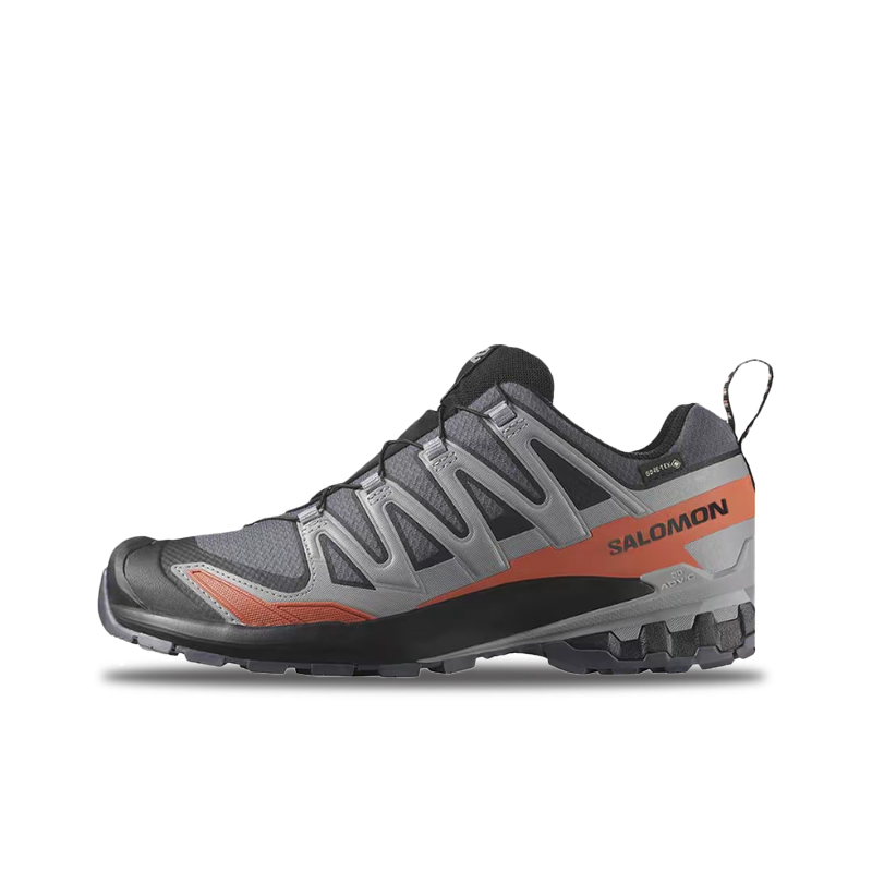 Salomon XA Pro 3D V9 GTX: Stil – Salomon Shoes Xa Pro 3D Bewertung und Preis
