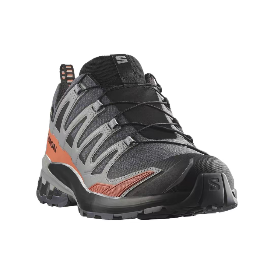 Salomon XA Pro 3D V9 GTX: Stil – Salomon Shoes Xa Pro 3D Bewertung und Preis