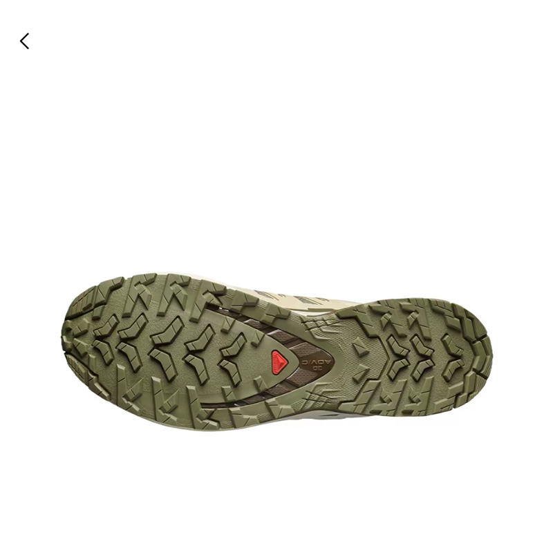 Salomon XA Pro 3D V9 GTX Herre – Salomon Shoes Xa Pro 3D Bewertung und Preis